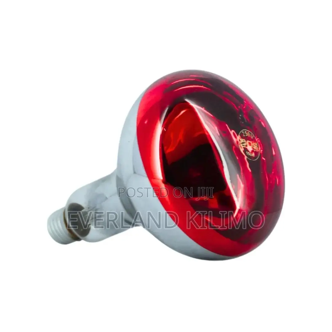 Vet-Approved Infra Red Bulb