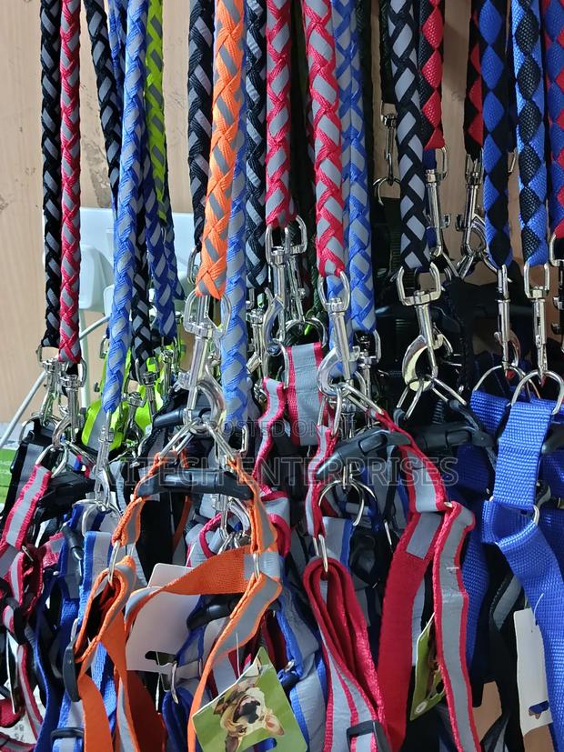 Dog Leash, Dog Leash - main view