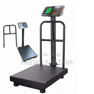 300kg Platform Digital Scale