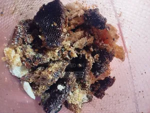 Honey Combs Available