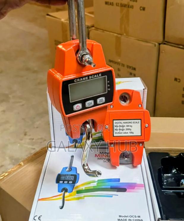300kgs Mini Crane Max Weight