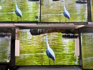 Vitron 65” Frameless Tv