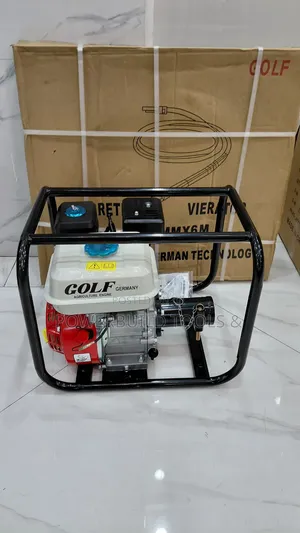 Golf Germany 8hp Engine With 45mm Poker