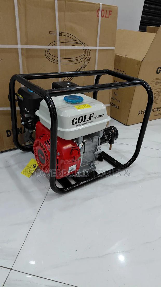 Golf Germany 8hp Engine With 45mm Poker - thumbnail 5