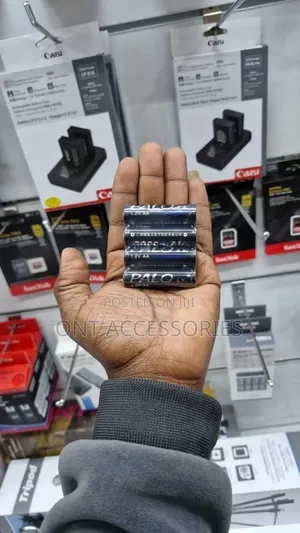Palo Rechargable Batteries 3000 Mah