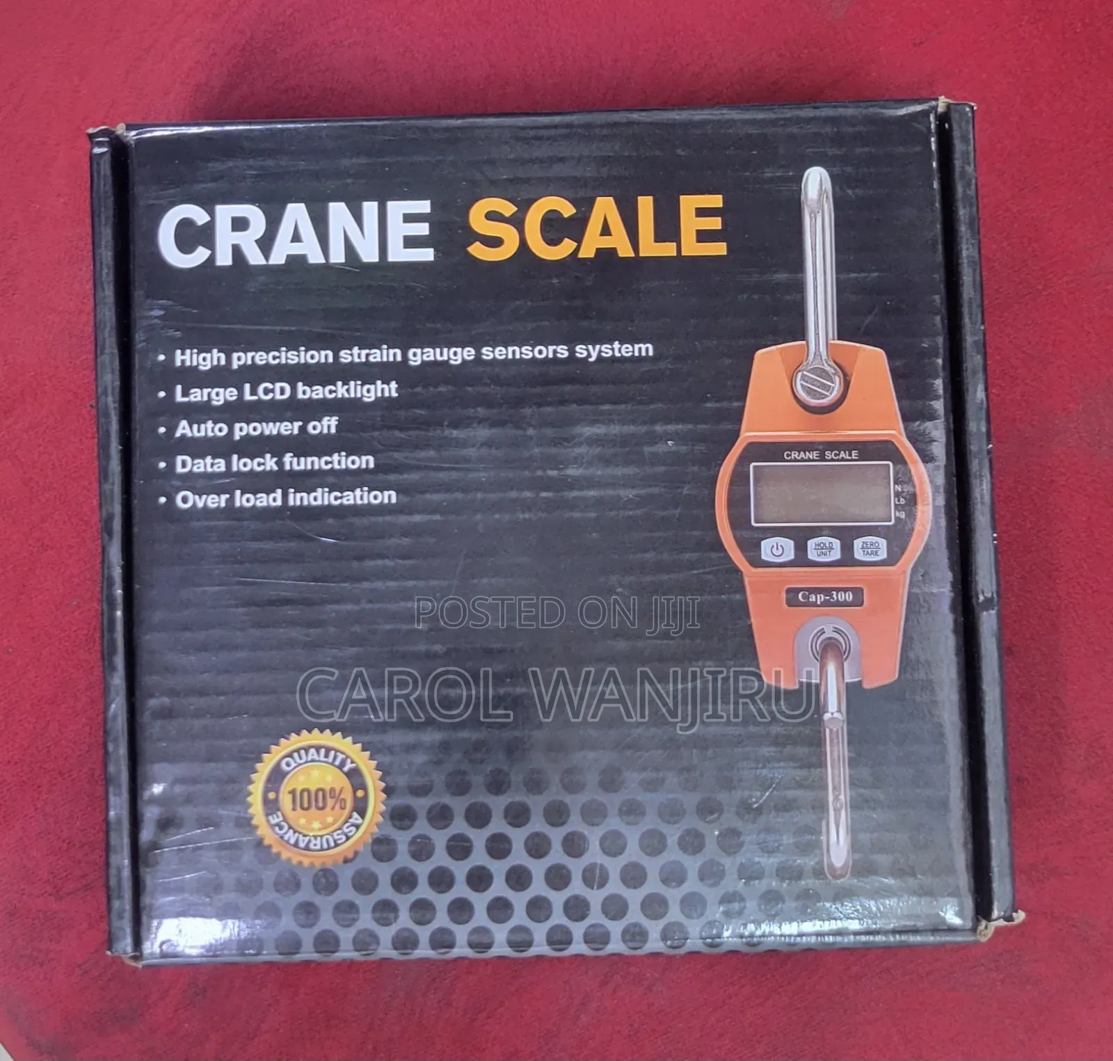 Quality 300kg Crane Scale