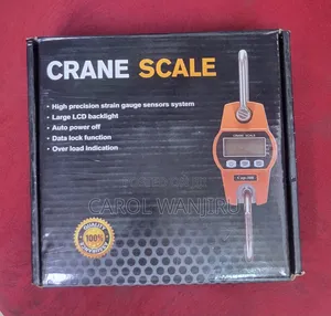 Quality 300kg Crane Scale