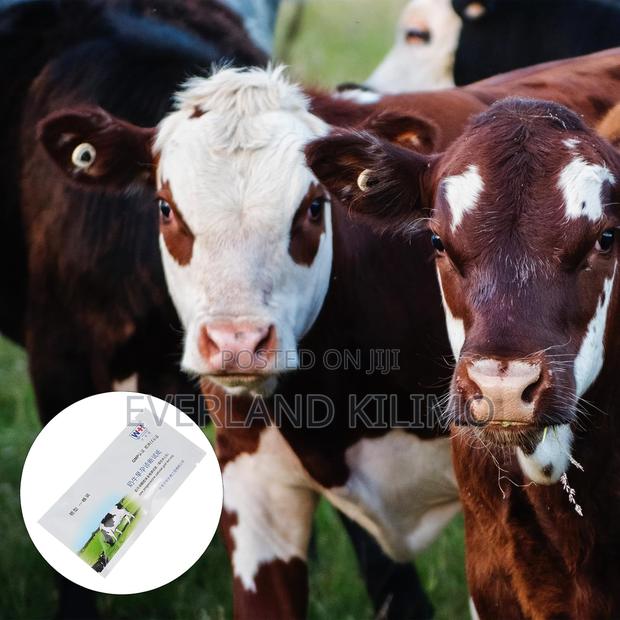 Reliable Cow Pregnancy Kits