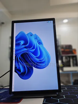 Dell 24 Inch Monitor