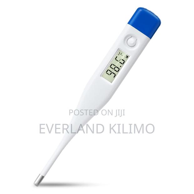 Waterproof Digital Thermometer - main view