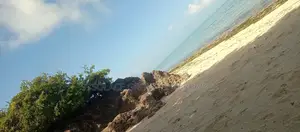Pungu Vila Beach Plots