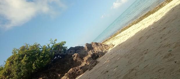 Pungu Vila Beach Plots - thumbnail 5