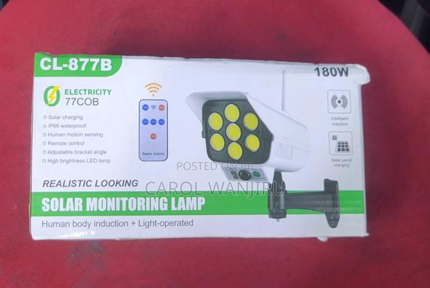 180w Solar Monitoring Lamp