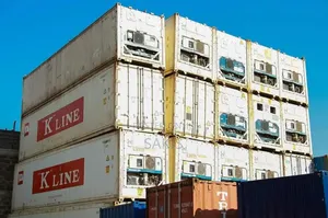 Cooler Containers! 40ft Refrigerated Reefer Containers!