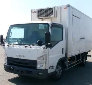 Isuzu Elf 2019 Freezer Truck