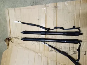 Toyota Rav4 2019-2022 Boot Shocks.