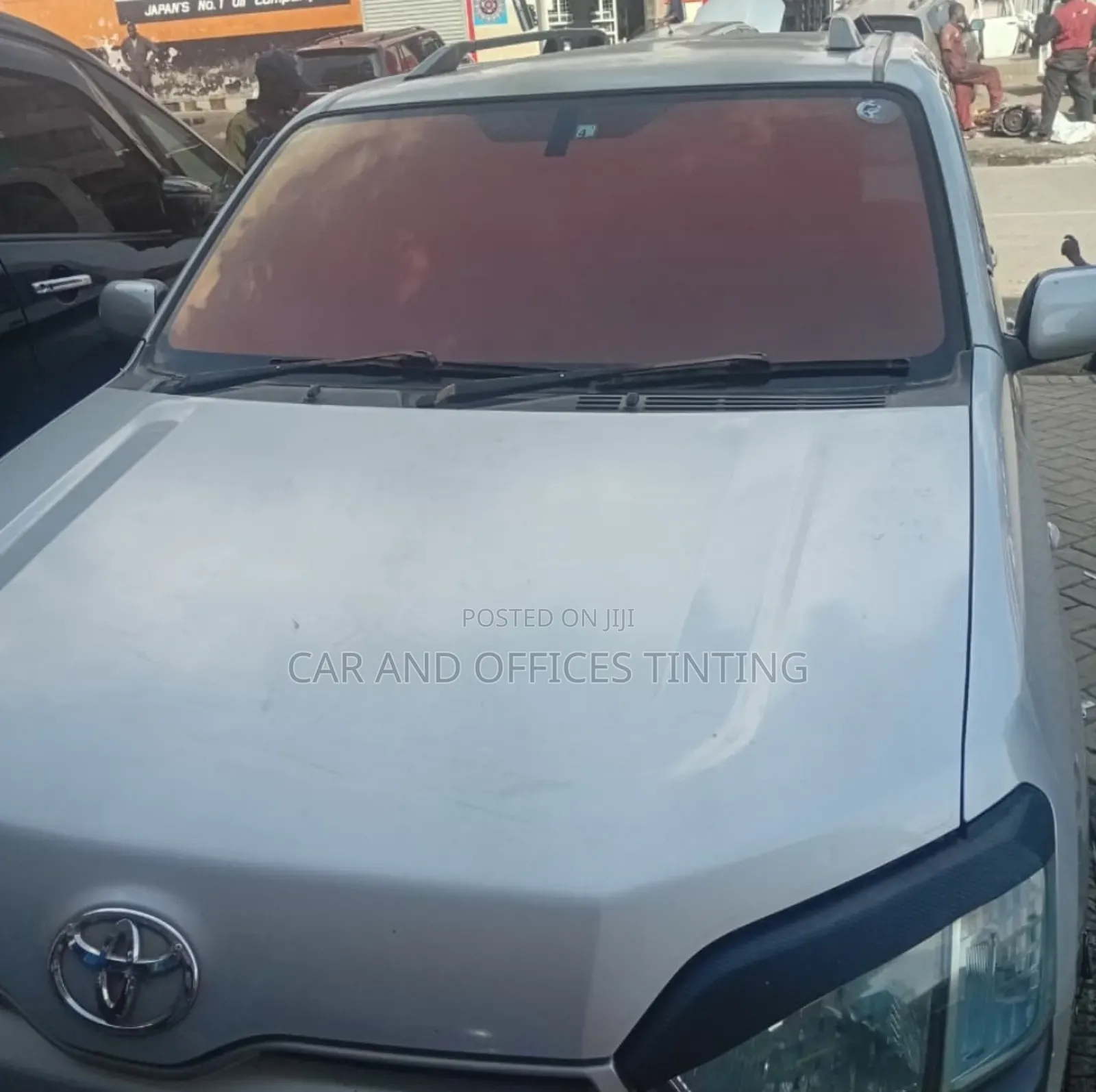 Chameleon Tint-nakuru