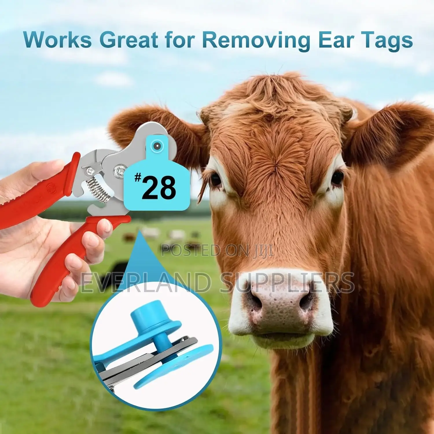 Ergonomic Ear Tag Remover
