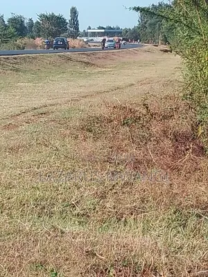 An Eighth of a Plot at Mwea Near Highway Kemri