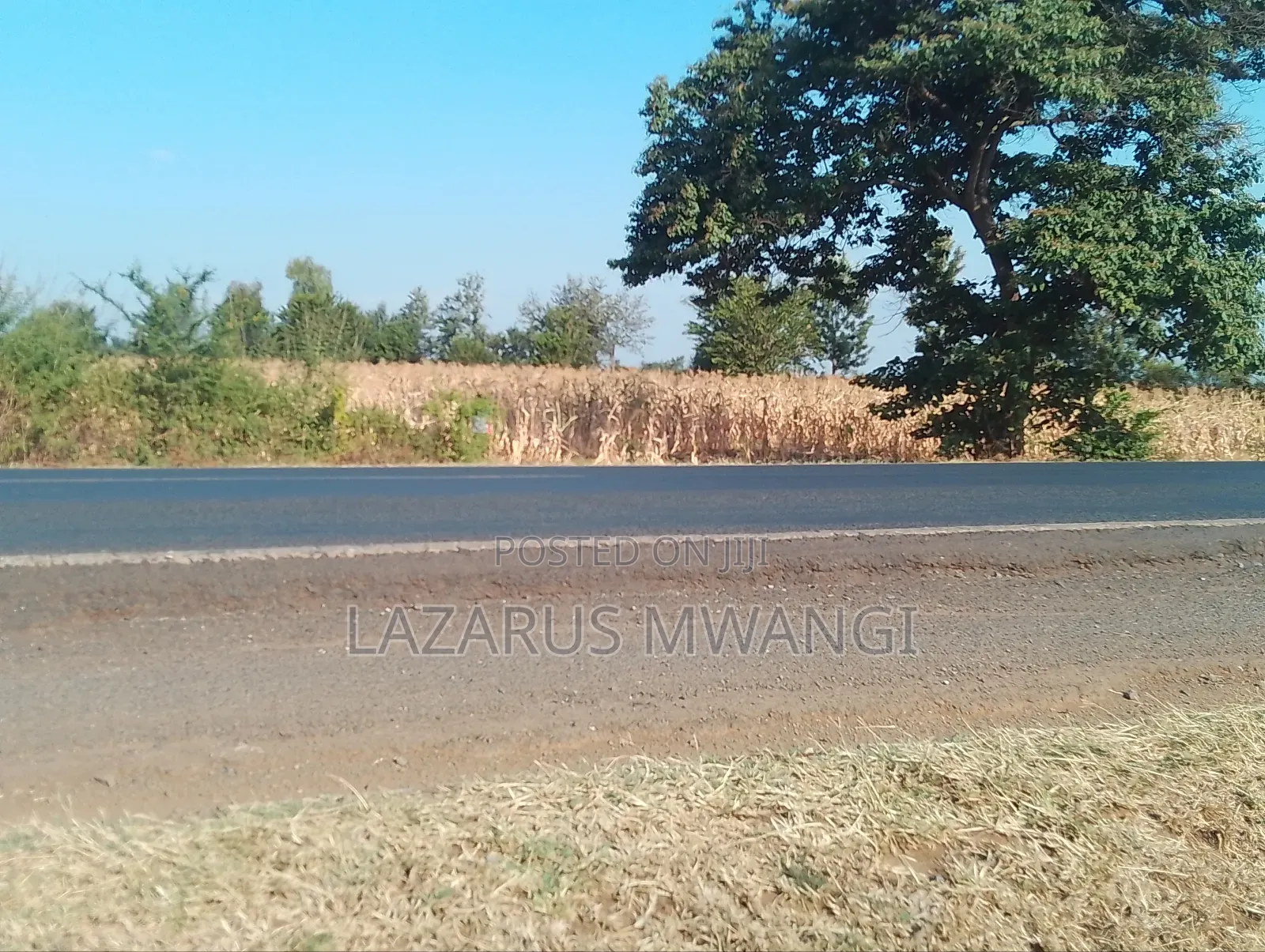 An Eighth of a Plot at Mwea Near Highway Kemri