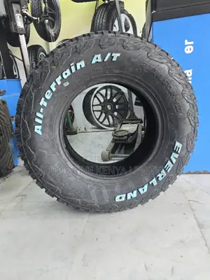 205r14c Everland All-Terrain Tire