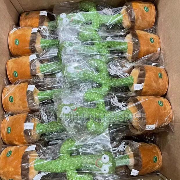 Dancing Cactus Packaged in a Box - main view