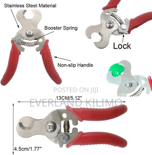 Waterproof Digital Thermometer - thumbnail 3