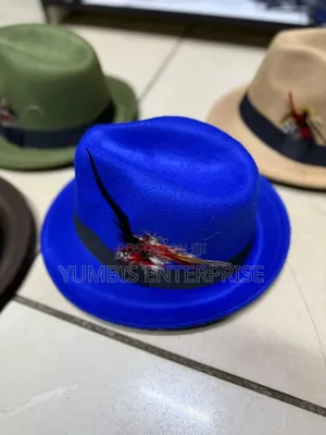 Small Fedora Hat