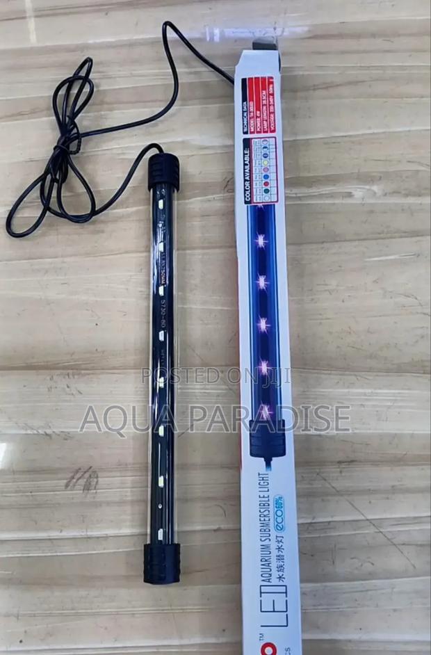 Aquarium Lights - main view