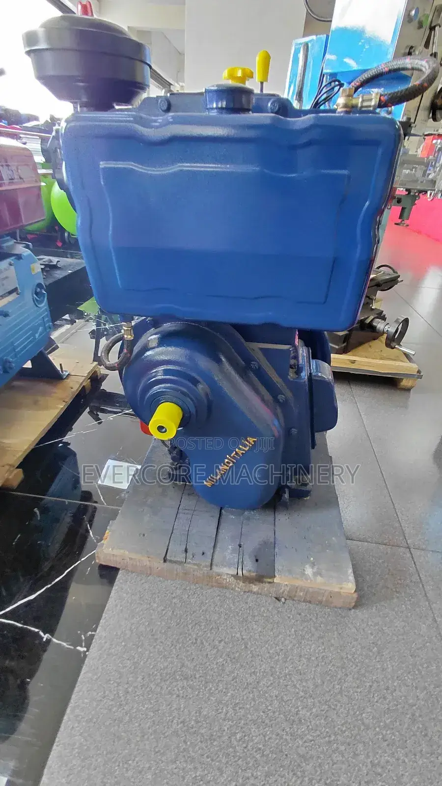 Milano Italia 10hp Diesel Water-Cooled Engine