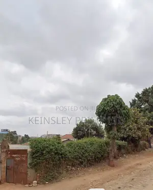 Nairobi 100x100 Freehold –Price Drop Urgent Need! Financing Accepted