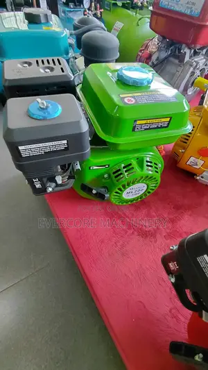 Heavy Duty Petrol Engines 7.5hp
