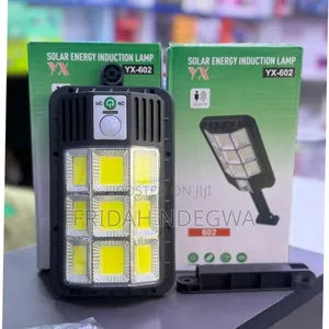 Energy Induction Lamp