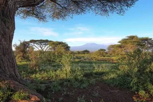 Commercial Plot for Sale