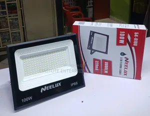 100w Led Flood Lamp Neelux – Outdoor Lighting Solution