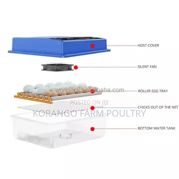 Multifunctional 56 Eggs Solar Powered Ok Incubator - thumbnail 5