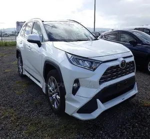 Toyota RAV4 XLE Premium AWD 2019 Pearl