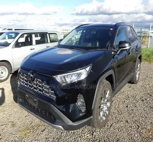 Toyota RAV4 XLE Premium AWD 2019 Black