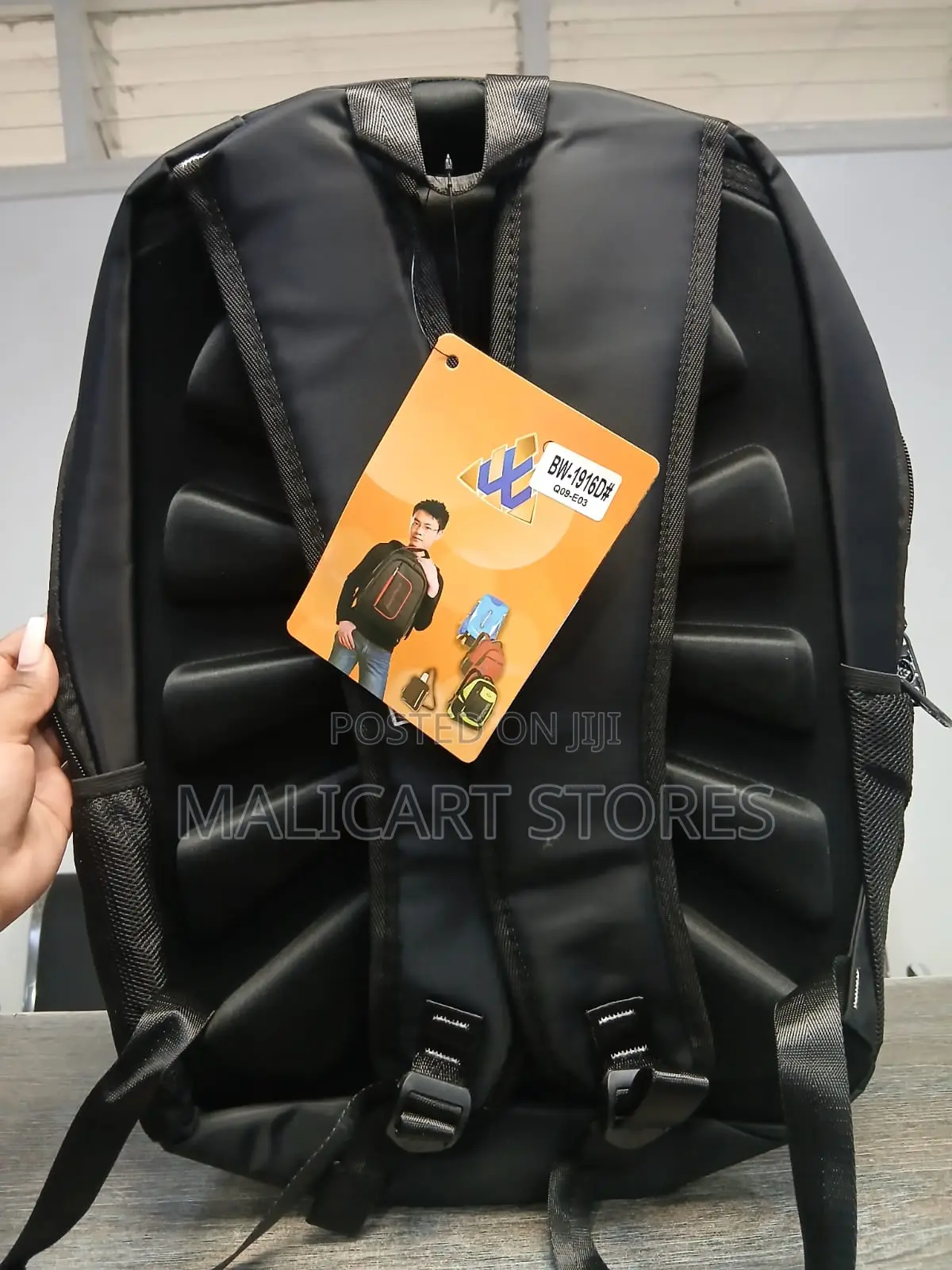 Professional Biaowang Back Pack