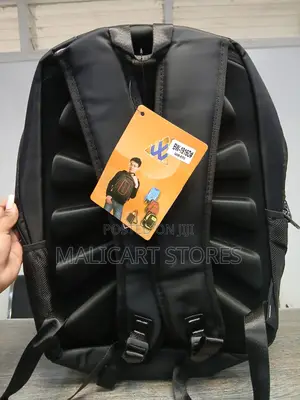 Professional Biaowang Back Pack