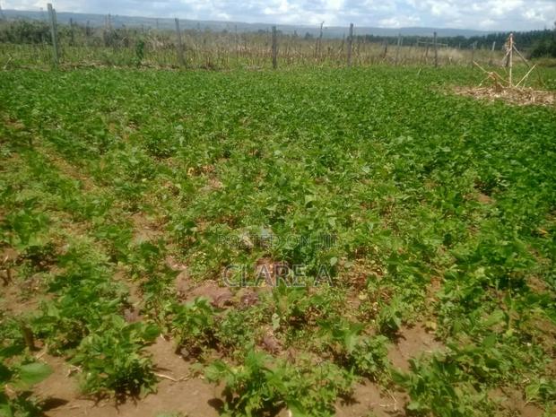 50*100 Plot Opposite Simba Cement ,Behind Ovacado Farm. - thumbnail 3