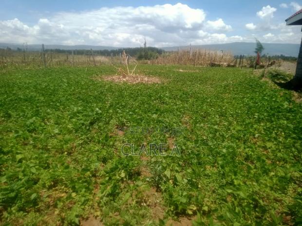 50*100 Plot Opposite Simba Cement ,Behind Ovacado Farm. - thumbnail 4