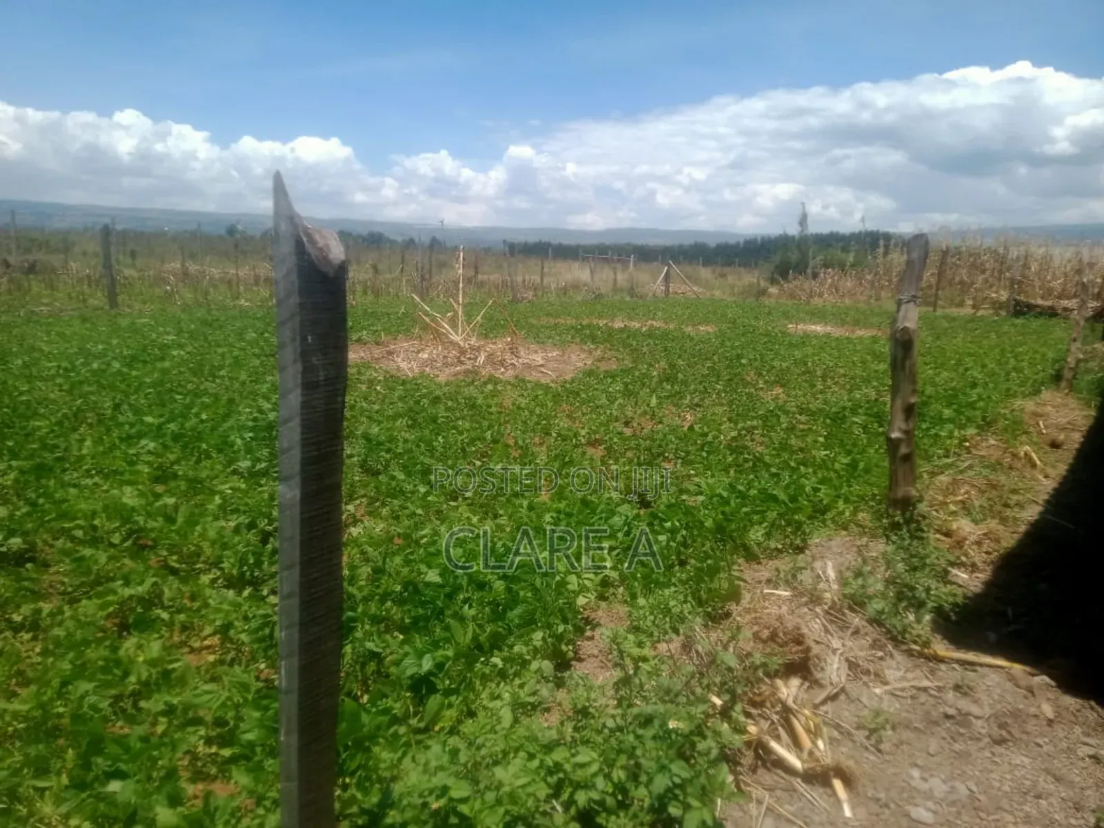 50*100 Plot Opposite Simba Cement ,Behind Ovacado Farm.
