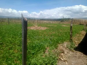 50*100 Plot Opposite Simba Cement ,Behind Ovacado Farm.