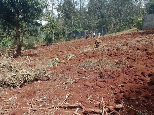 50 X 100 Commercial Plot Kirigiti Kiambu - thumbnail 3