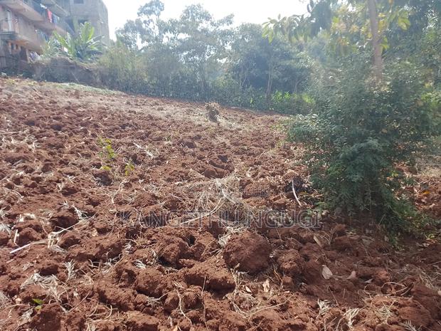 50 X 100 Commercial Plot Kirigiti Kiambu - thumbnail 5