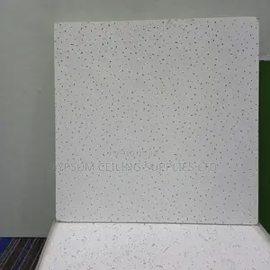 Acoustic Ceiling Tile