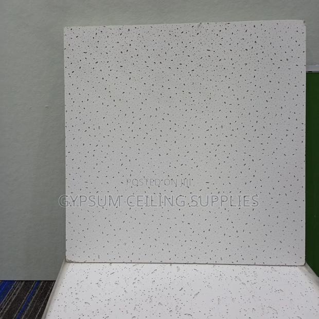 Acoustic Ceiling Tile