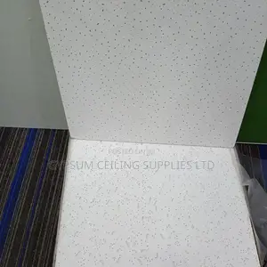 Acoustic Ceiling Tile