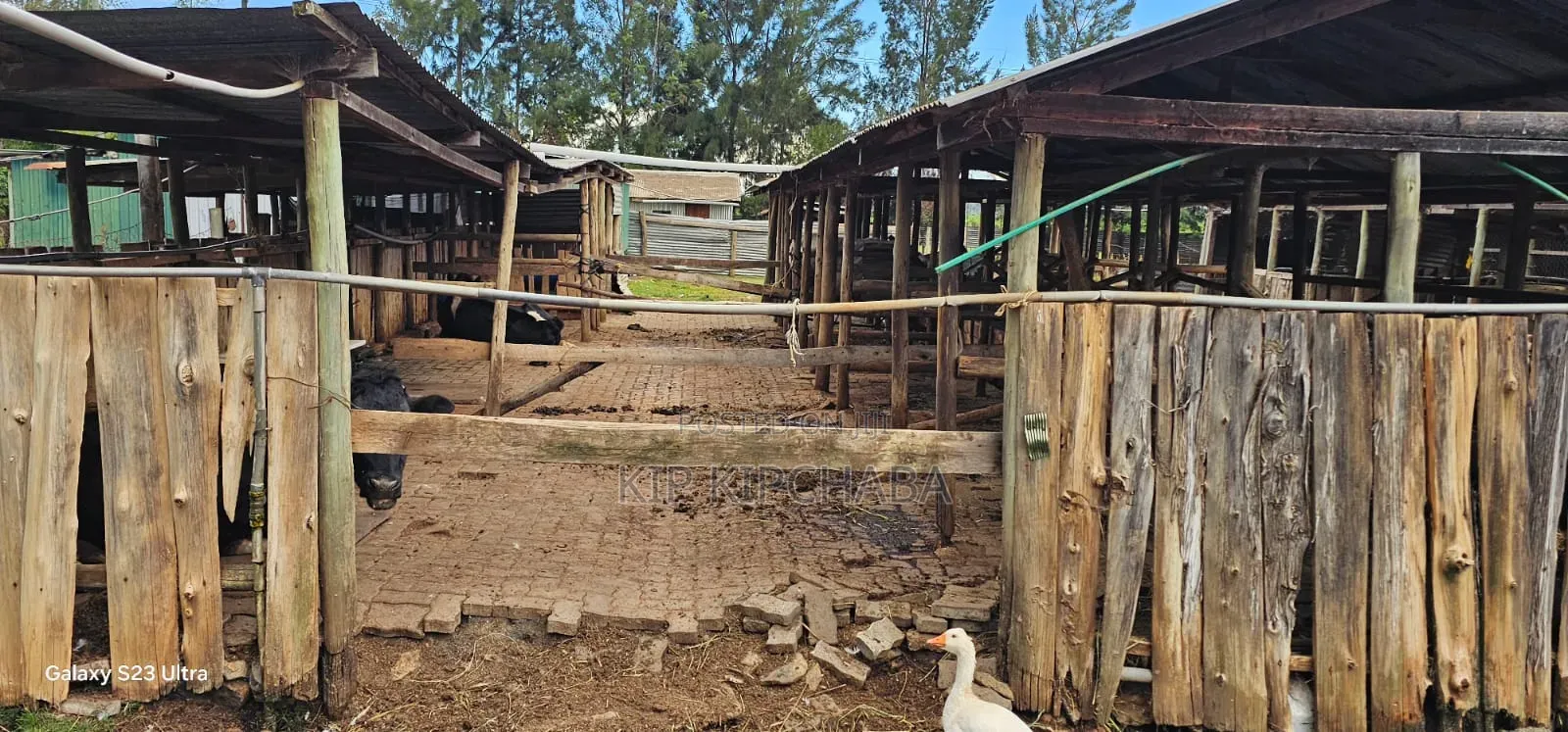 5bdrm House in Kiplombe for sale